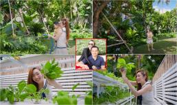 Khu vườn xanh mướt bên trong siêu biệt thự 1600m2 của vợ chồng diễn viên Chi Bảo