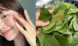 Loại lá rẻ bèo chị em chăm dùng giúp căng da, chống già 'vượt xa' collagen đắt đỏ