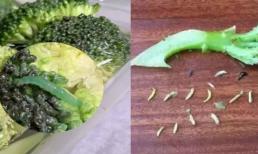 10 con sâu cho 1 cây súp lơ? Súp lơ biến thành món thịt sâu? Dạy bạn thủ thuật làm sạch những thứ bẩn và sâu bọ