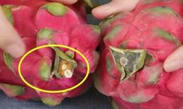 Thanh long có ngọt hay không, nhìn vào là biết ngay, mẹo mà lão nông trồng cây ăn trái chia sẻ rất thiết thực