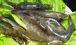 Bảo quản tôm tươi như thế nào? Thử công thức của lão ngư, sau 3 tháng tôm vẫn tươi ngon như mới 