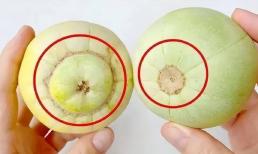 Mua dưa lê nên chọn quả có rốn to hay rốn nhỏ? Nhiều người làm sai, chả trách ăn không ngon