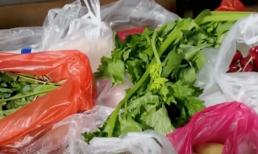 Cho túi nilon đựng rau củ vào tủ lạnh tương đương với tự tử từ từ và ung thư? Các thí nghiệm tiết lộ sự thật, đừng coi đó là điều hiển nhiên