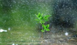 20 câu nói thần kỳ nhất thế gian, chỉ đọc một lần, lợi cả đời! 