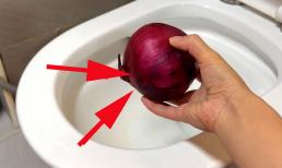 Bồn cầu có mùi hôi khó chịu khiến bạn không muốn bước chân vào, một củ hành tây sẽ giải quyết vấn đề
