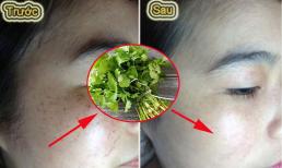 Muốn trắng da và hết tàn nhang, đem mớ rau chỉ vài ngàn đồng này đun lên rồi uống sẽ thấy hiệu quả tức thì