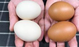 Mua trứng nên chọn vỏ đỏ hay vỏ trắng? Nhân viên bán hàng lỡ miệng, đừng mua nhầm lần nữa!