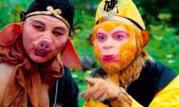 Tại sao luôn là Tôn Ngộ Không mà không phải Trư Bát Giới chạy đi tìm cứu binh? Không phải Bát Giới lười biếng, Ngọc Đế biết vì sao