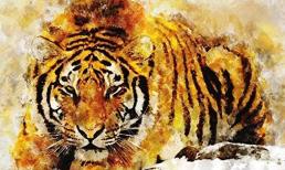 Tử vi tuần mới (3/7 - 9/7): top 3 con giáp may mắn về tiền bạc, Thần Tài ban phát tài lộc, cuộc sống nở hoa, viên mãn