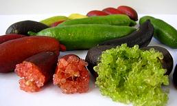 Loại quả lạ khiến giới nhà giàu 'mê mẩn', giá gần 4 triệu đồng/kg nhưng muốn ăn chưa chắc có