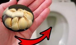 Bồn cầu bốc mùi hôi, bàn bếp bắn dầu mỡ chỉ mẹo làm sạch trong 'một nốt nhạc' với kem đánh răng và tỏi