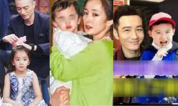 Sao Hoa ngữ đặt biệt danh lạ cho con: Lâm Tâm Như có ý nghĩa, Huỳnh Hiểu Minh cưng chiều, Chương Tử Di nghĩ ra khi cho con bú 