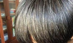 9 nguyên nhân “thúc đẩy” tóc bạc, không muốn tóc bạc sớm, 3 cách dưỡng tóc cần nhớ 