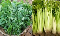 Mùa hè ra chợ gặp 3 loại rau này phải mua ngay, không những giúp thải độc, thanh nhiệt, giá lại 'rẻ bèo' 