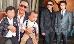 Tạ Hiền để lại tài sản cho con trai Trương Bá Chi, Tạ Đình Phong: 'Chẳng lẽ tôi phải dựa vào Đậu Tĩnh Đồng và Lý Yên khi về già?'