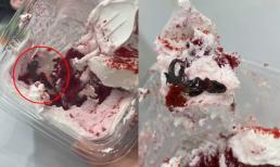 Ăn gần hết hộp bánh kem, cô gái ám ảnh vì phát hiện nguyên con thạch sùng phía dưới, dân mạng: 'Muốn ói tại chỗ'