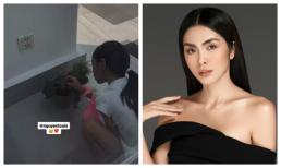 Con gái 6 tuổi của Hà Tăng như bản sao của mẹ ở chi tiết này