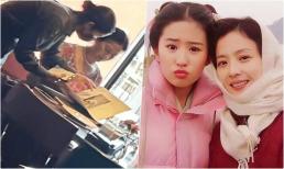 Mẹ Lưu Diệc Phi được nhìn thấy đi ăn tối, nhìn khí chất xuất chúng và đẳng cấp, chẳng trách con gái lại nói mình xấu nhất nhà