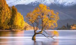 Sau khi về hưu, dù cô đơn thế nào cũng đừng để những người này ghé thăm nhà, kẻo chuốc lấy phiền toái