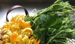 Có một kho báu trong bí đỏ, nhiều người chỉ biết ăn như rau mà không biết bí đỏ là thần dược
