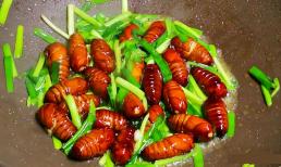 Làm sao để mua được nhộng tươi ngon? Cô bán rau dạy 3 mẹo, nhộng vừa tươi vừa bổ