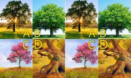 Trắc nghiệm tâm lý: Bạn muốn ngồi dưới bóng cây nào? Tìm ra những khía cạnh của may mắn bạn có gần đây!