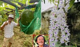 Gần 2 năm sau khi qua đời, nhà vườn rộng 10.000m2 của cố nghệ sĩ Giang Còi hiện ra sao?