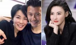 Vương Phi hỏi Tạ Đình Phong: 'Anh còn yêu Trương Bá Chi không?', câu trả lời của tình trẻ khiến 'thiên hậu' xúc động 