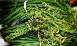 Ở Việt Nam có một loại 'rau trường thọ' mọc đầy bờ bụi ven đường mà không ai ăn