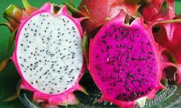 Thanh long trắng và thanh long đỏ, loại nào tốt hơn? Ăn nhiều thanh long hơn để chống ung thư và giảm tốc độ lão hóa