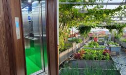 Đam mê làm vườn, bố đảm chi gần 400 triệu để lắp thang máy lên tầng 4 trồng rau