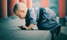 Các bạn ơi, các bạn đang cầu xin điều gì, các bạn đang đấu tranh vì điều gì, các bạn đang tức giận điều gì, các bạn đang lo lắng điều gì... Đọc xong bài viết này, tôi bừng tỉnh