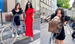 Cuộc sống 'nhà giàu' của Diva Hồng Nhung và hai con ở Pháp, Tép chiếm spotlight vì 'trổ mã' thiếu nữ 