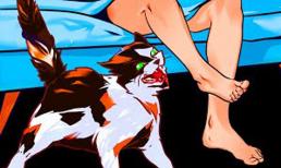 Mèo chạy loạn khắp nhà vào ban đêm báo hiệu điều gì? Tổng hợp tất cả kiến thức mà người nuôi mèo cần biết 