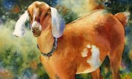 Cuối tuần này (15/7 - 16/7): top 3 con giáp có Thần Tài giúp đỡ, tiền vào như nước, cuộc sống thăng hoa, tình duyên viên mãn