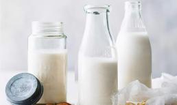 Uống một ly sữa hay một hộp sữa chua mỗi ngày sẽ tốt hơn? Sữa chua và sữa tươi nguyên chất, bạn nên sử dụng loại nào? 