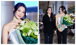 Miss Earth 2022 - Mina Sue Choi đến Việt Nam, Trương Ngọc Ánh đọ sắc chung liệu có lép vế?