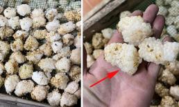 Có một loại trứng không dùng để ăn, được bán với giá 800 nghìn đồng/kg vẫn cháy hàng