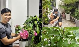 MC Nguyên Khang hé lộ ban công 'view triệu đô', ngập tràn sắc hoa và cây xanh, trồng cả cây ăn quả 