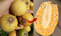 Người xưa có câu: 'Khi thị đã chín, tuyệt đối đừng mua mít', vì sao lại như vậy?