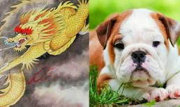 Chúc mừng 4 con giáp, tháng 8 tài lộc dồn dập, tin vui dồn dập, phúc lộc dồi dào, tài lộc tăng vùn vụt