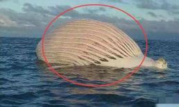 Khi một người đàn ông đang câu cá vô tình phát hiện một quả cầu khổng lồ đang trôi nổi, nhưng khi đến gần nó, anh ta cảm thấy rằng cái chết đang đến gần