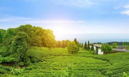 Đến khi về già mới biết, điều đáng buồn nhất của con người không phải là cô độc và chết chóc, mà là ba chữ này