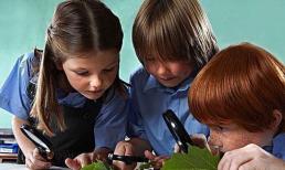 10 dấu hiệu cho thấy bạn đang nuôi dạy một đứa trẻ có chỉ số IQ cao