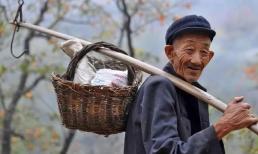 Người xưa nói rằng “5 cây vào nhà thì bần cùng, nhà tan”. Vì sao 5 loại cây này không thể để trong nhà? 