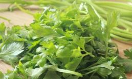 Tại sao cần tây không ăn lá? Có thể nhiều người không biết, vì vậy bạn cũng có thể nói với cha mẹ của bạn