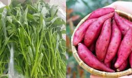 6 thực phẩm giảm béo và hút dầu chính. Nếu bạn muốn giảm cân, hãy ăn chúng