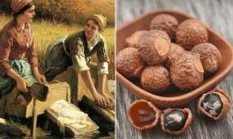 Người xưa giặt đồ không có bột giặt, vậy họ đã dùng thứ gì mà quần áo vẫn sạch sẽ, thơm tho?