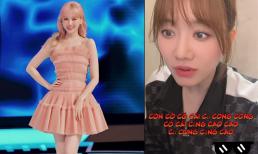 10 năm ở Việt Nam, Hari Won vẫn vất vả với việc đọc tiếng Việt