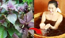 Chỉ cần 5 nghìn tía tô cũng dễ dàng giúp chị em có được làn da trắng và sạch mụn nhờ làm theo cách này